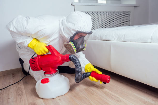 Best Mosquito Control Services  in Newburyport, MA